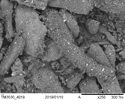  The Photocatalysis and Spectroscopy for Environmental Applications group finalizes its research project